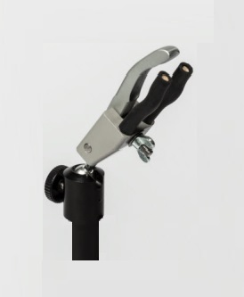 Skull Holder